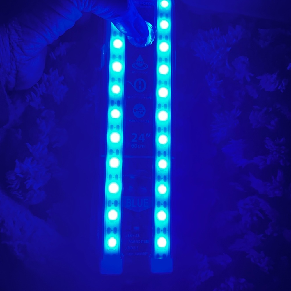 Blue LED Light Strip